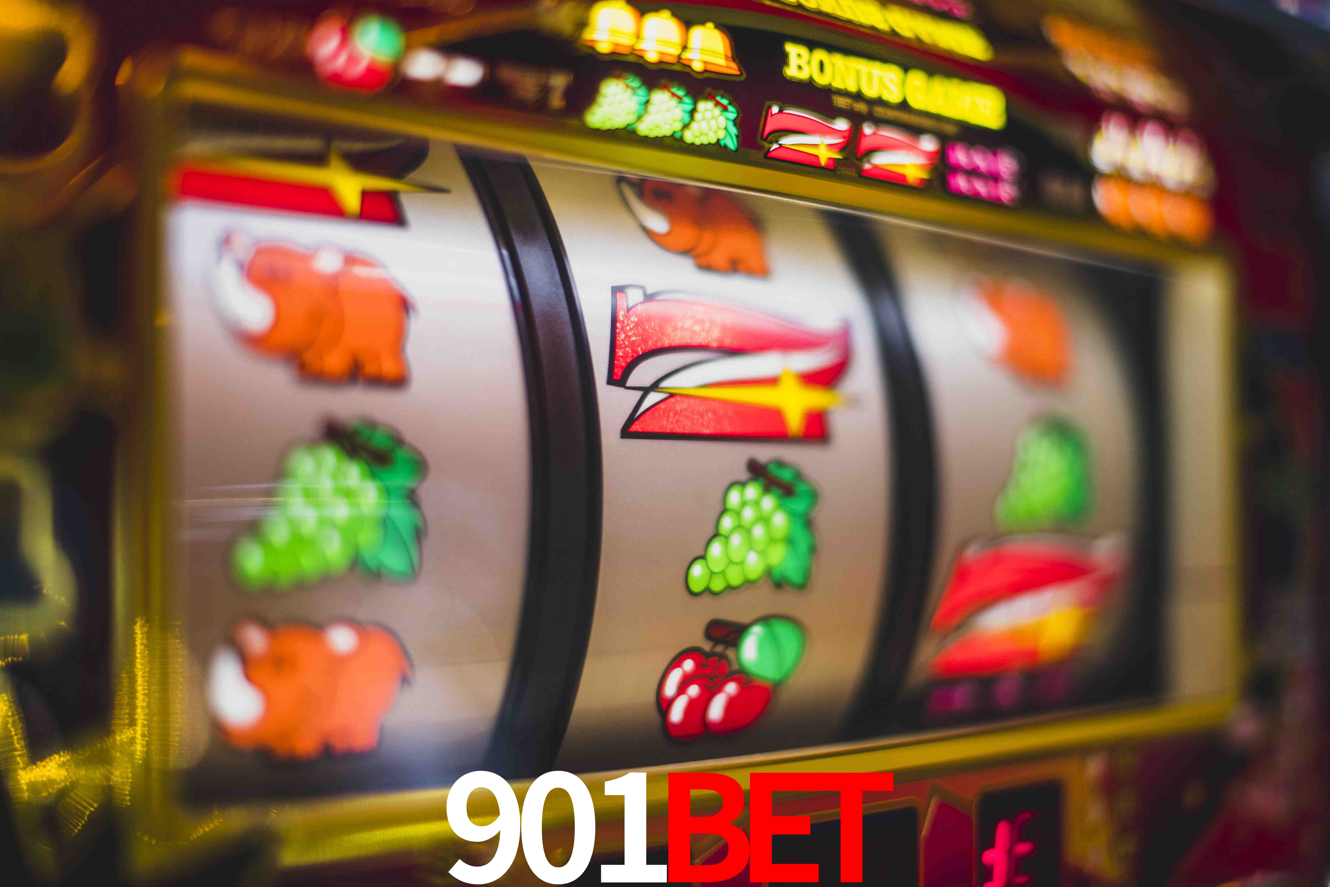 Experiência VIP 901BET